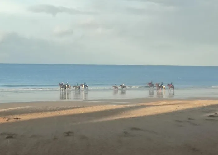 Vue Sur & Le Port De